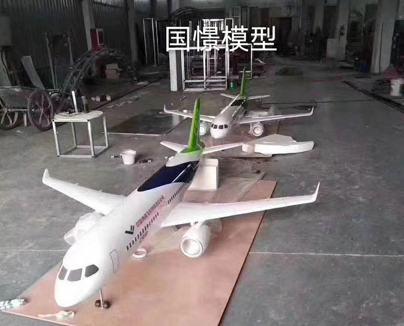 吉隆县飞机模型
