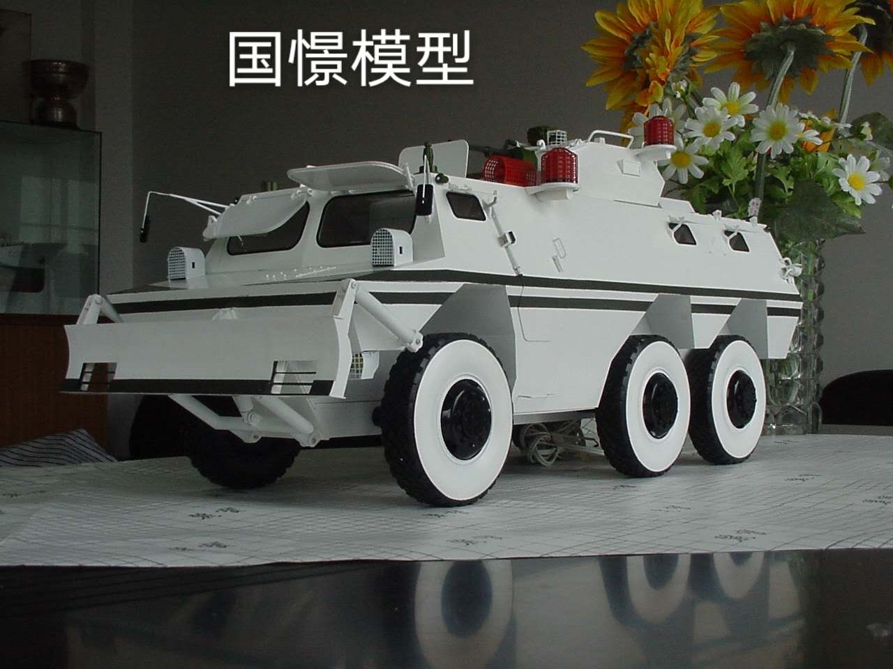 吉隆县军事模型